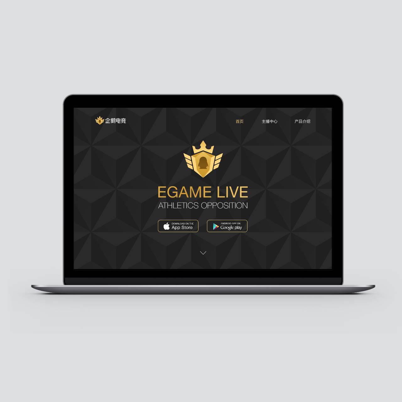 电竞公司vi设计_企鹅电竞品牌设计-广州花生设计公司 电竞公司vi设计_企鹅电竞品牌设计-广州花生设计公司